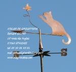 Le chat papillon